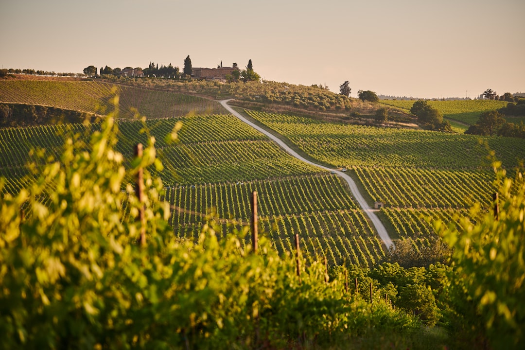 Bukit Chianti
